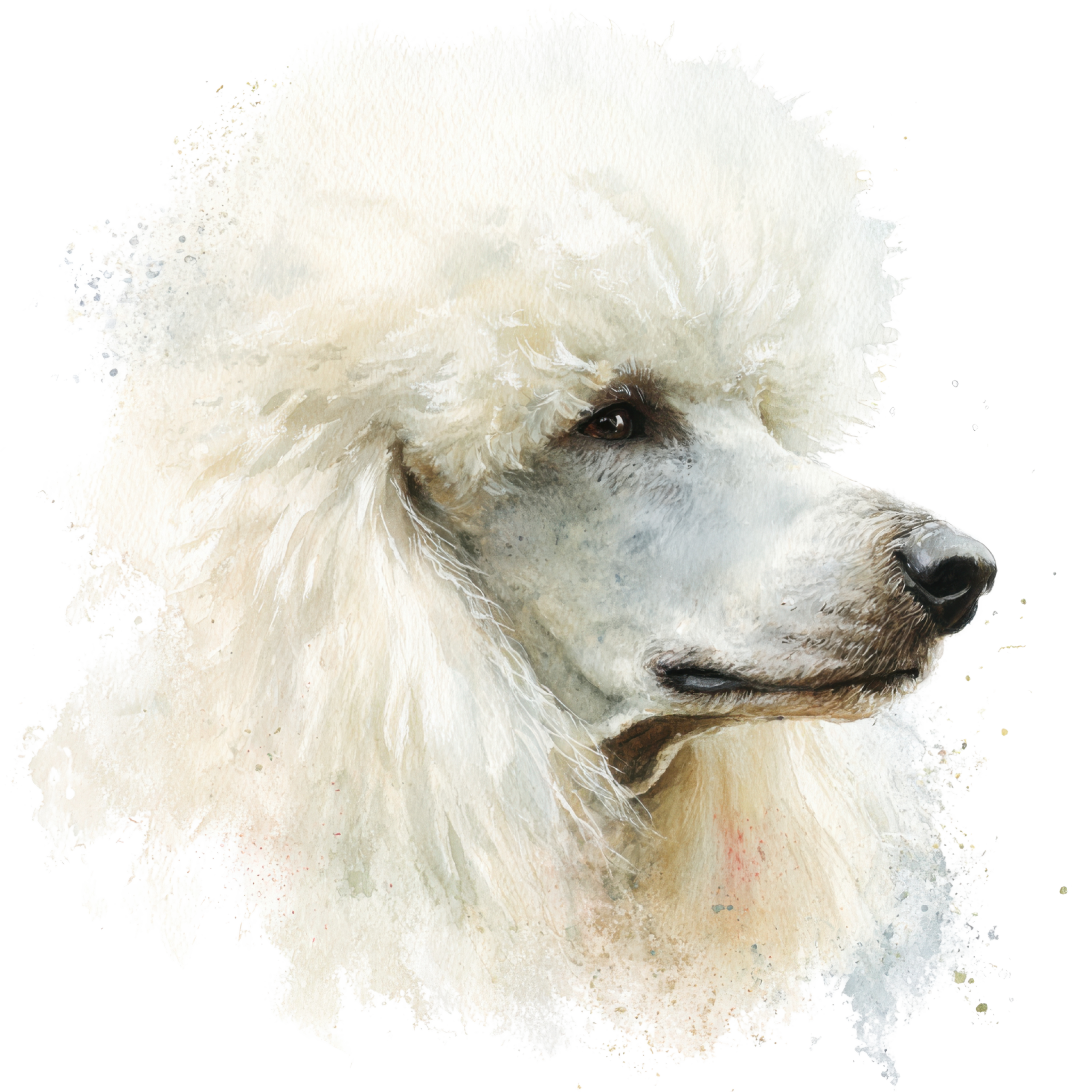 clipart34