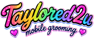 logo company name rainbow1no bg